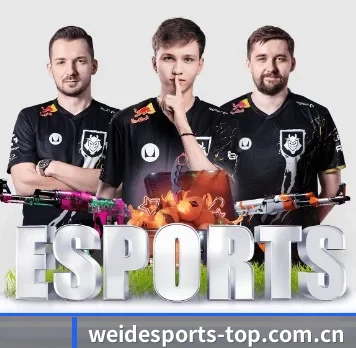 国际化进程(WEIDESPORT)